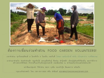 รับสมัครเพื่อนร่วมทำสวน Food Garden Volunteers!